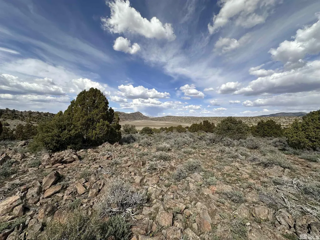 3520 Dry Lake Reno NV 89521