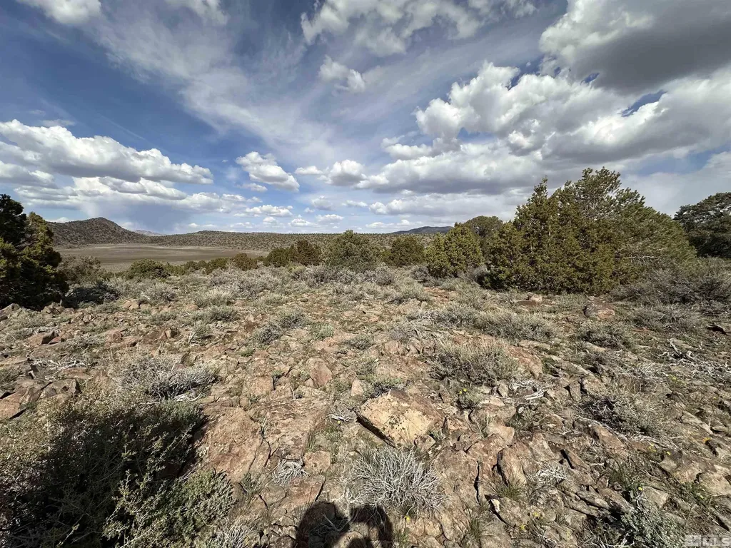 3520 Dry Lake Reno NV 89521