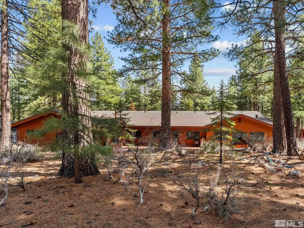 805 Yellow Pine Reno NV 89511