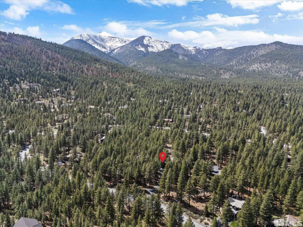 805 Yellow Pine Reno NV 89511