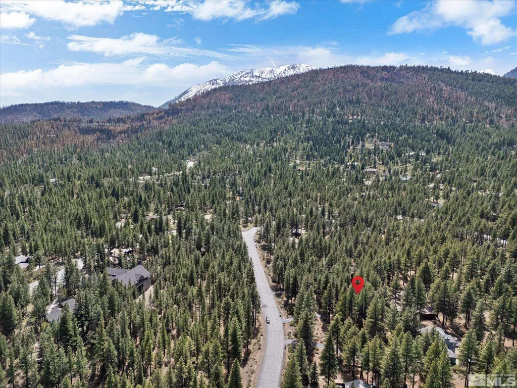 805 Yellow Pine Reno NV 89511
