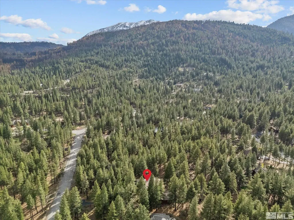805 Yellow Pine Reno NV 89511