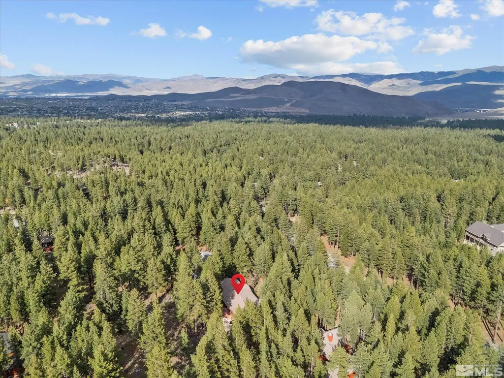 805 Yellow Pine Reno NV 89511