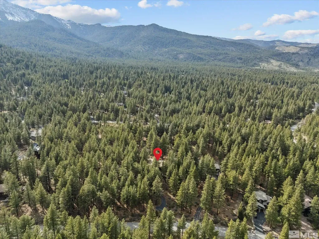 805 Yellow Pine Reno NV 89511