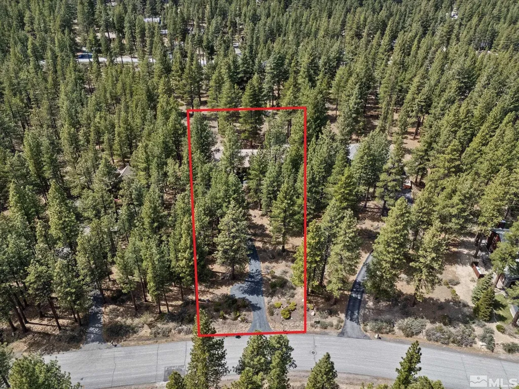 805 Yellow Pine Reno NV 89511
