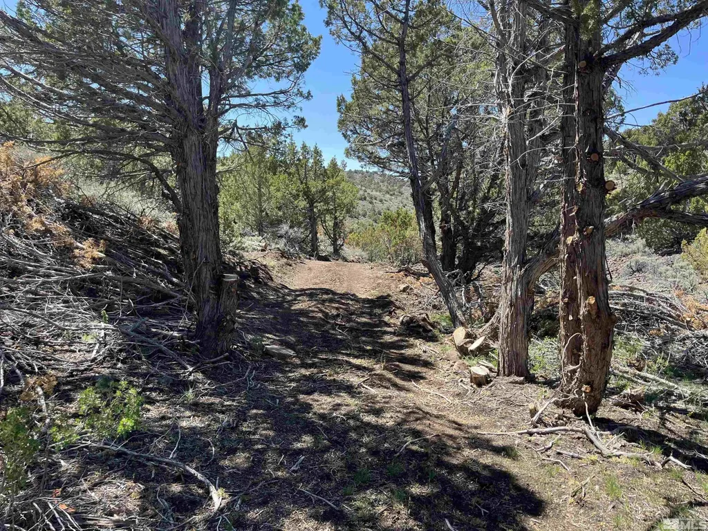 0 Quaking Aspen/microwave Reno NV 89510