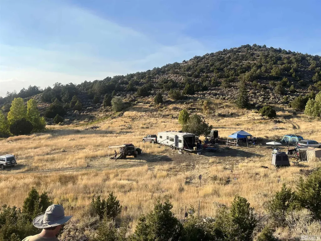 0 Quaking Aspen/microwave Reno NV 89510