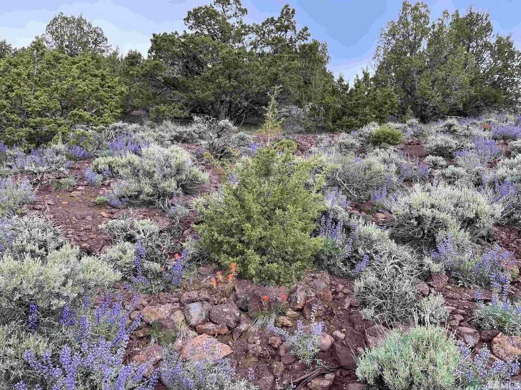 0 Quaking Aspen/microwave Reno NV 89510