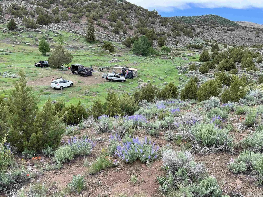 0 Quaking Aspen/microwave Reno NV 89510