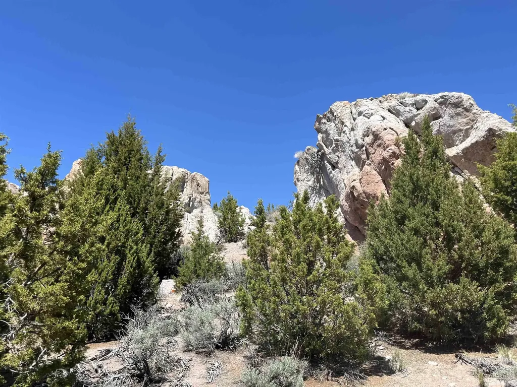 0 Quaking Aspen/microwave Reno NV 89510