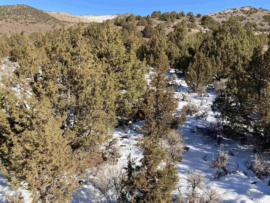 0 Quaking Aspen/microwave Reno NV 89510