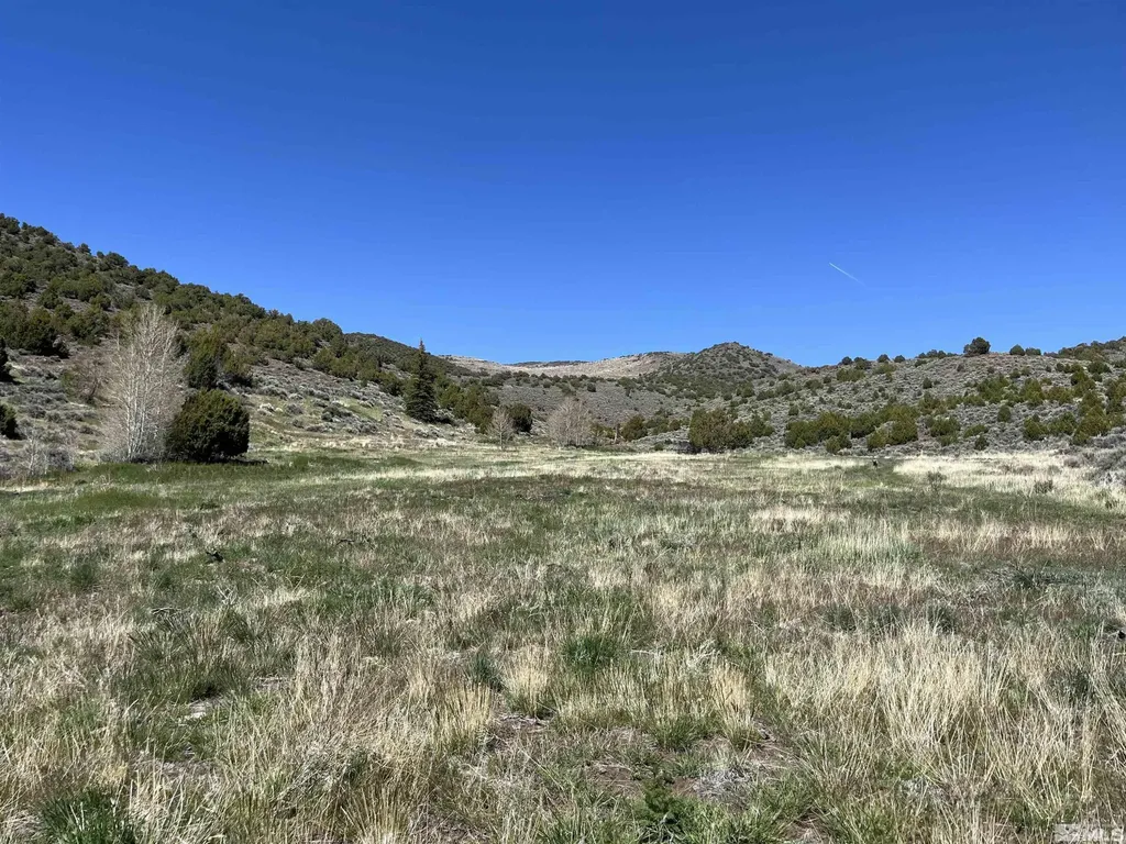 0 Quaking Aspen/microwave Reno NV 89510