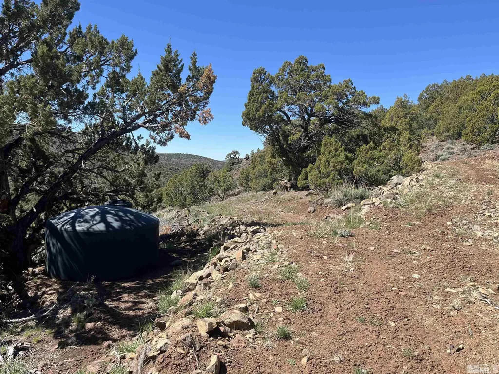 0 Quaking Aspen/microwave Reno NV 89510