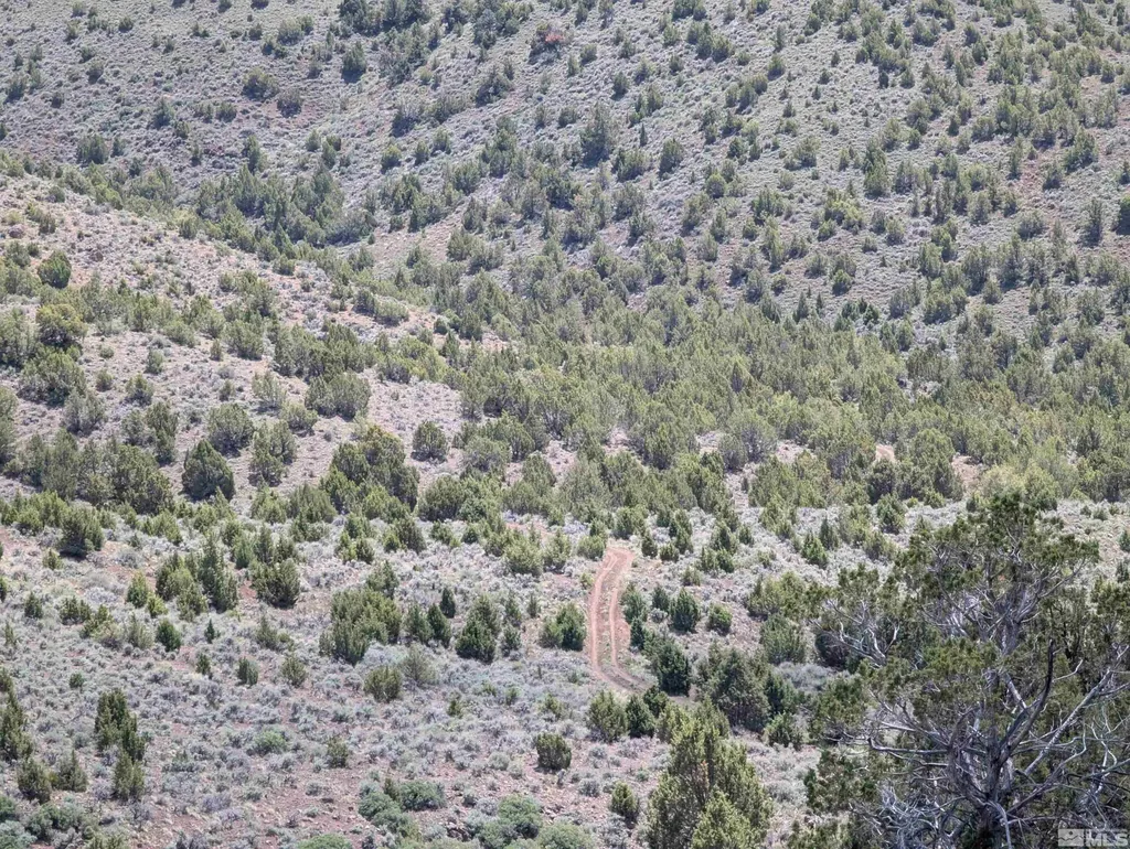 0 Quaking Aspen/microwave Reno NV 89510