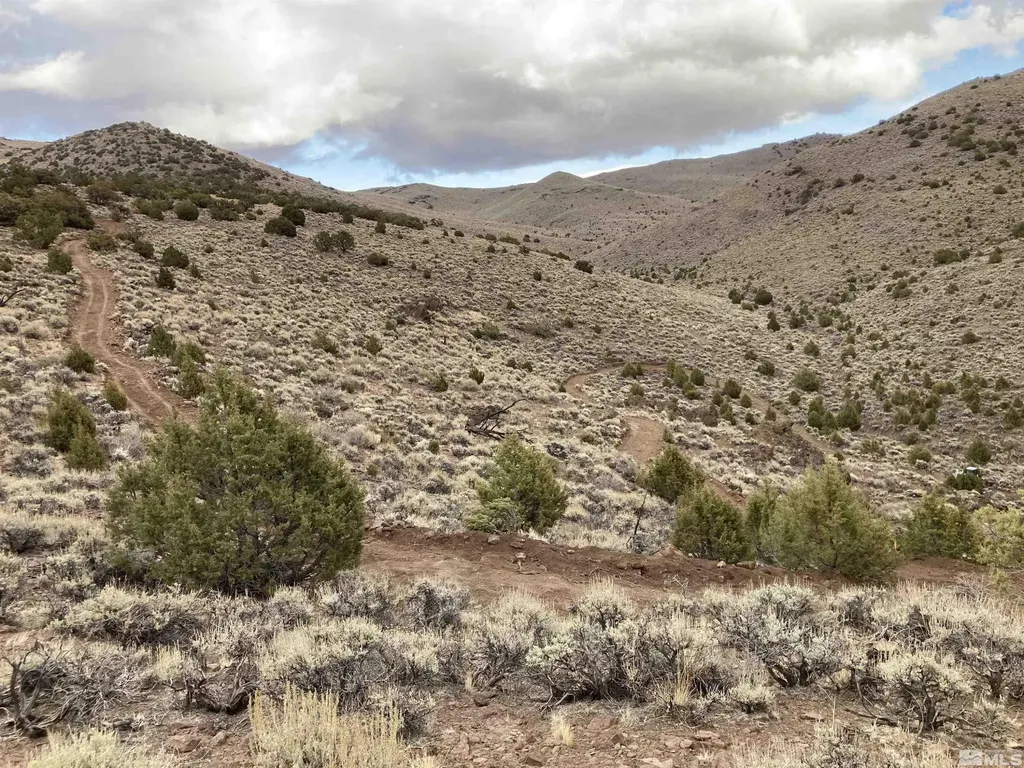 0 Quaking Aspen/microwave Reno NV 89510