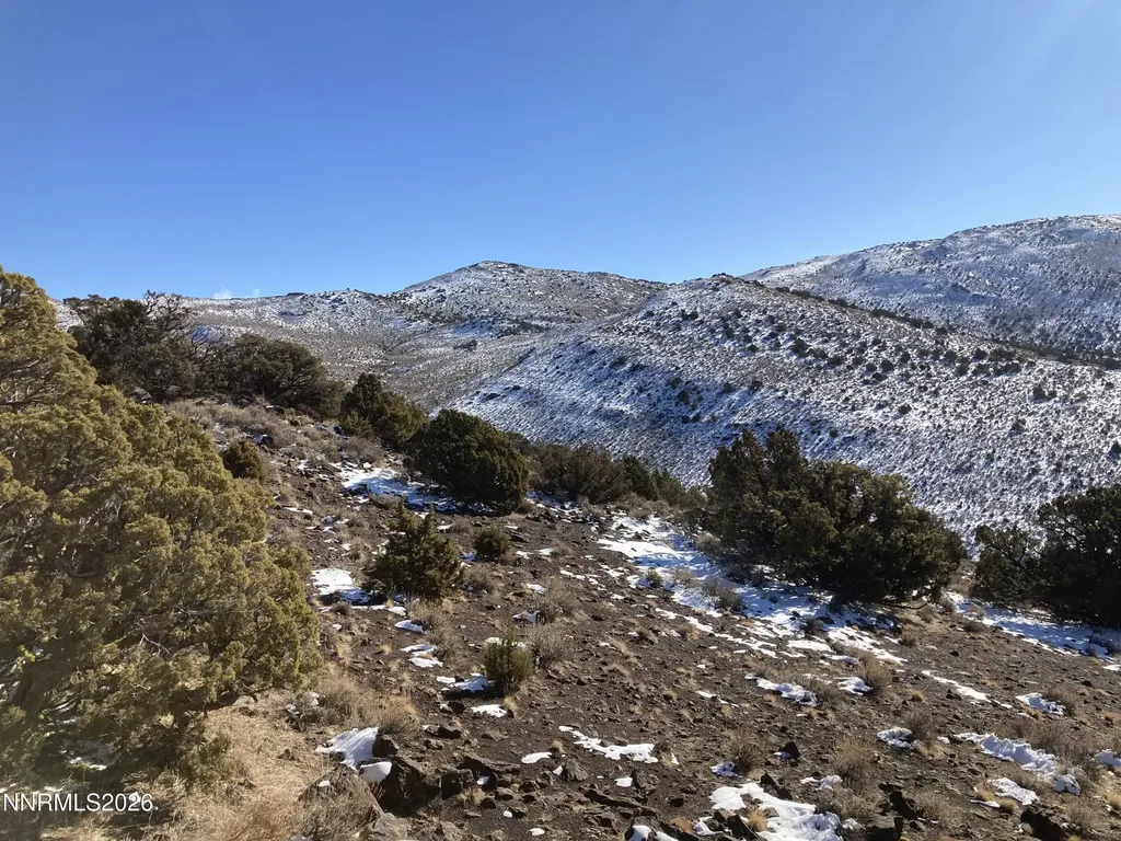 0 Quaking Aspen/microwave Reno NV 89510