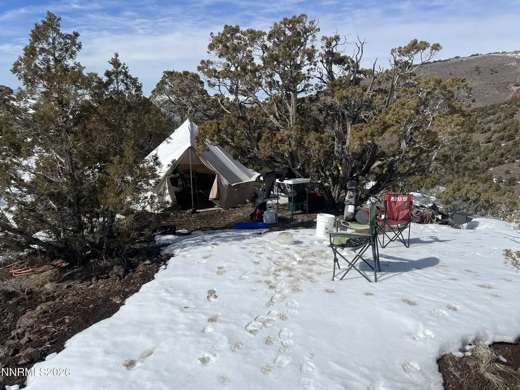 0 Quaking Aspen/microwave Reno NV 89510
