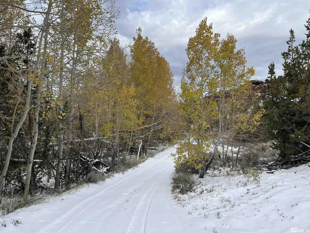 0 Quaking Aspen/microwave Reno NV 89510