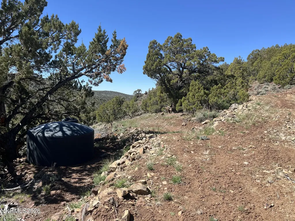 0 Quaking Aspen/microwave Reno NV 89510