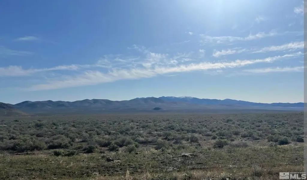 11010 Chardonnay Lovelock NV 89419