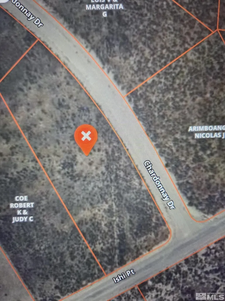 11010 Chardonnay Lovelock NV 89419