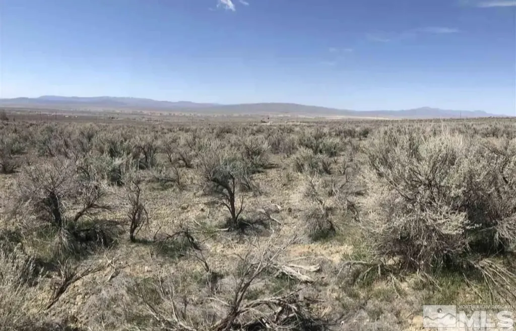 11155 Beaumont Lovelock NV 89419