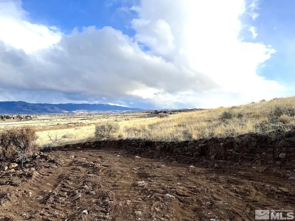 810 Schellbourne Reno NV 89511