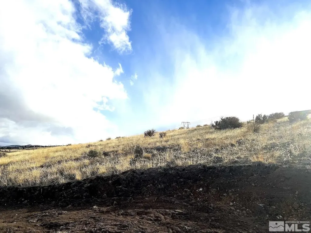 810 Schellbourne Reno NV 89511