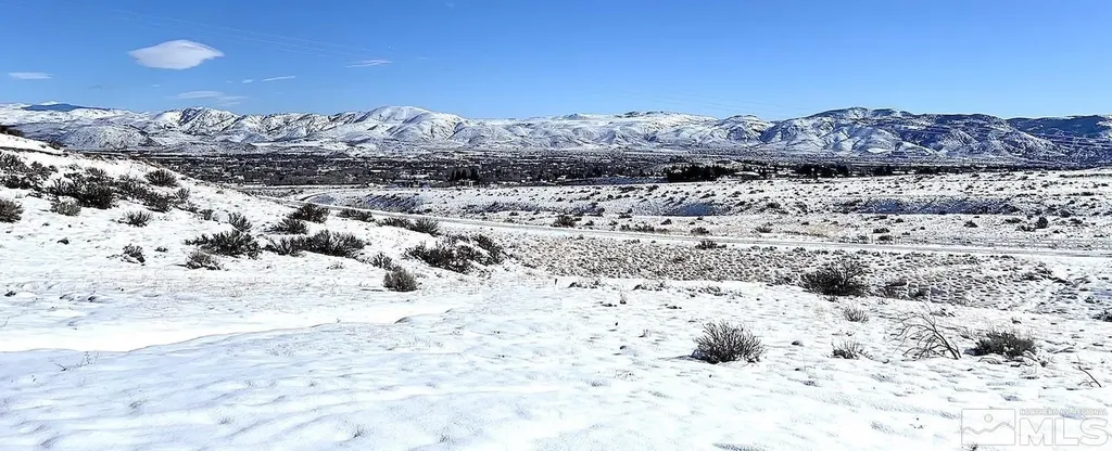790 Schellbourne Reno NV 89511