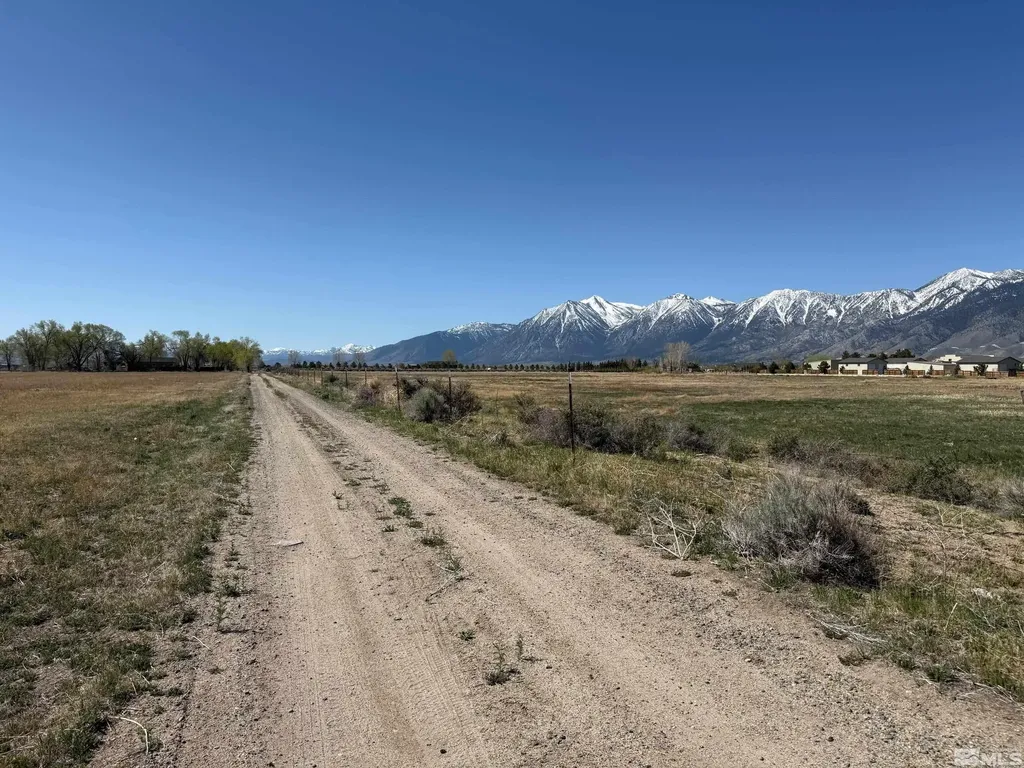 961 Airport Minden NV 89423