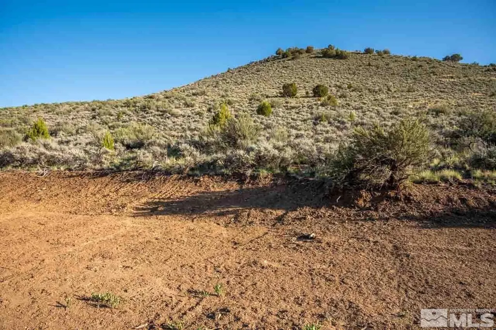 0 Chokecherry Reno NV 89508