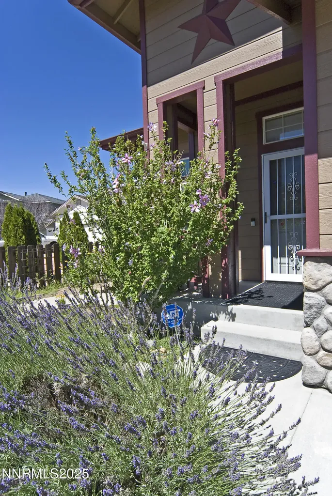 925 Sauvignon Reno NV 89506