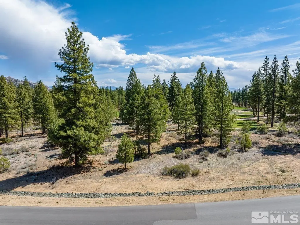 3316 Golf Club Carson City NV 89705