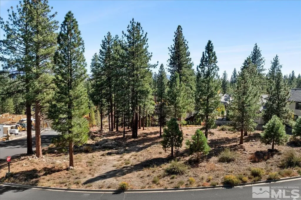 20500 Margaux Reno NV 89511