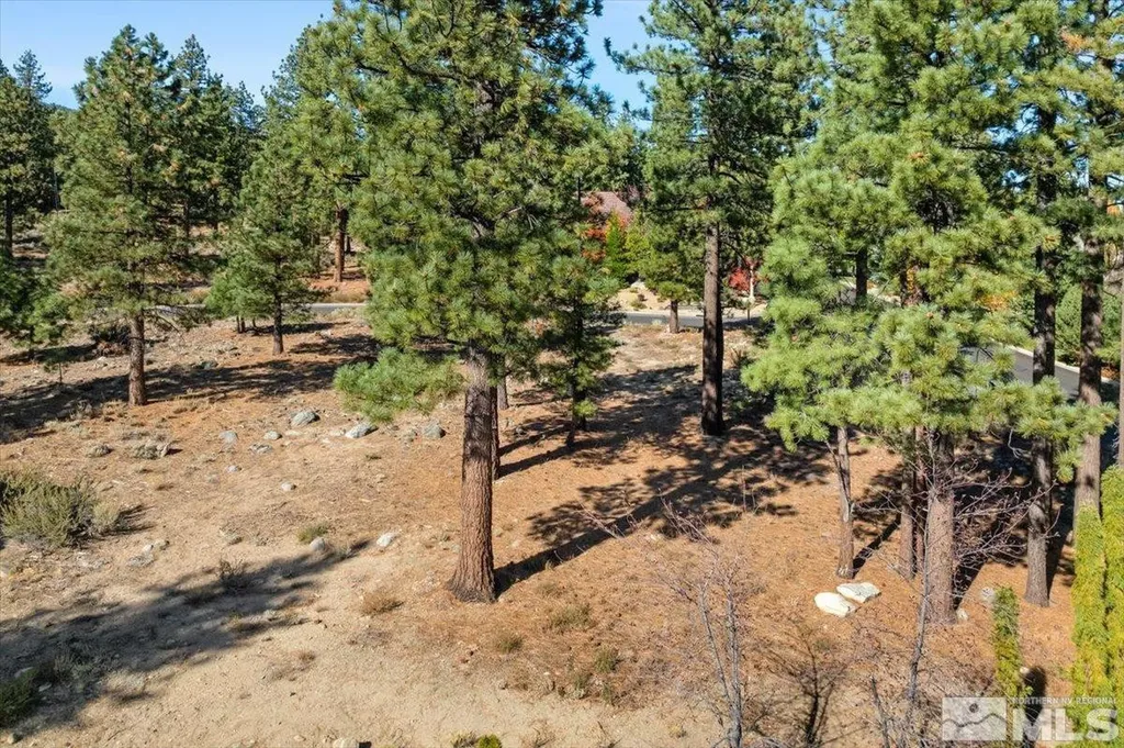 20500 Margaux Reno NV 89511