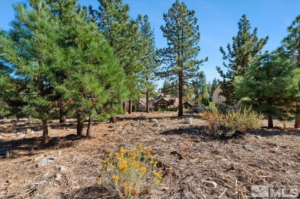 20500 Margaux Reno NV 89511