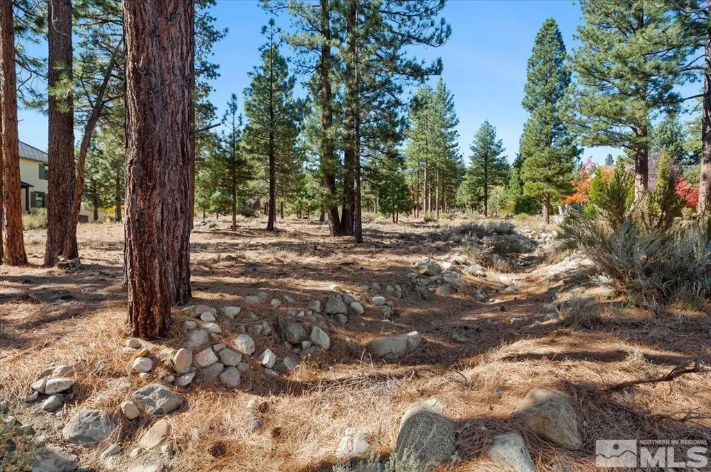20500 Margaux Reno NV 89511