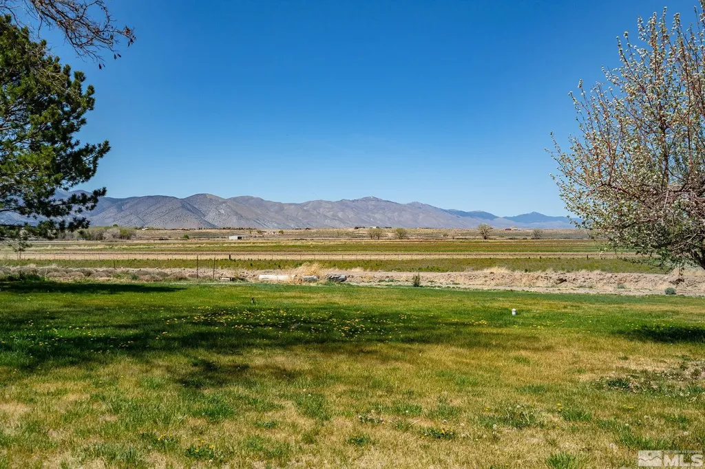 1000 Plymouth Ranch Smith NV 89430