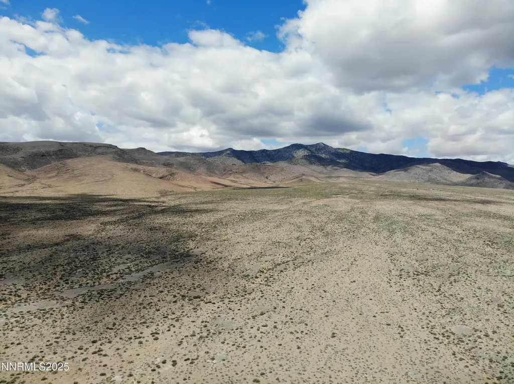 01564015 Near Old Emigrant Road/fencemaker Flat Road Lovelock NV 89419
