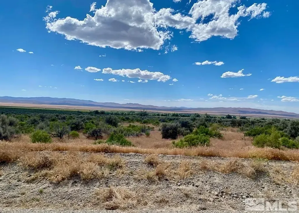 22170 Callaway Lovelock NV 89419