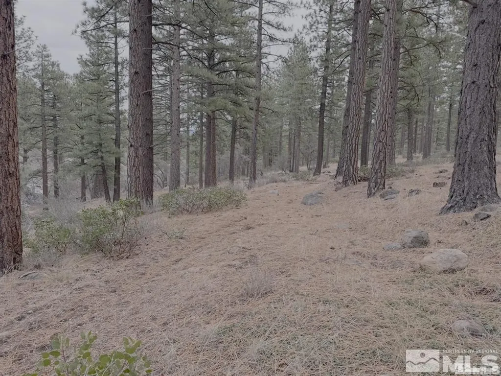 370 Abies Reno NV 89511