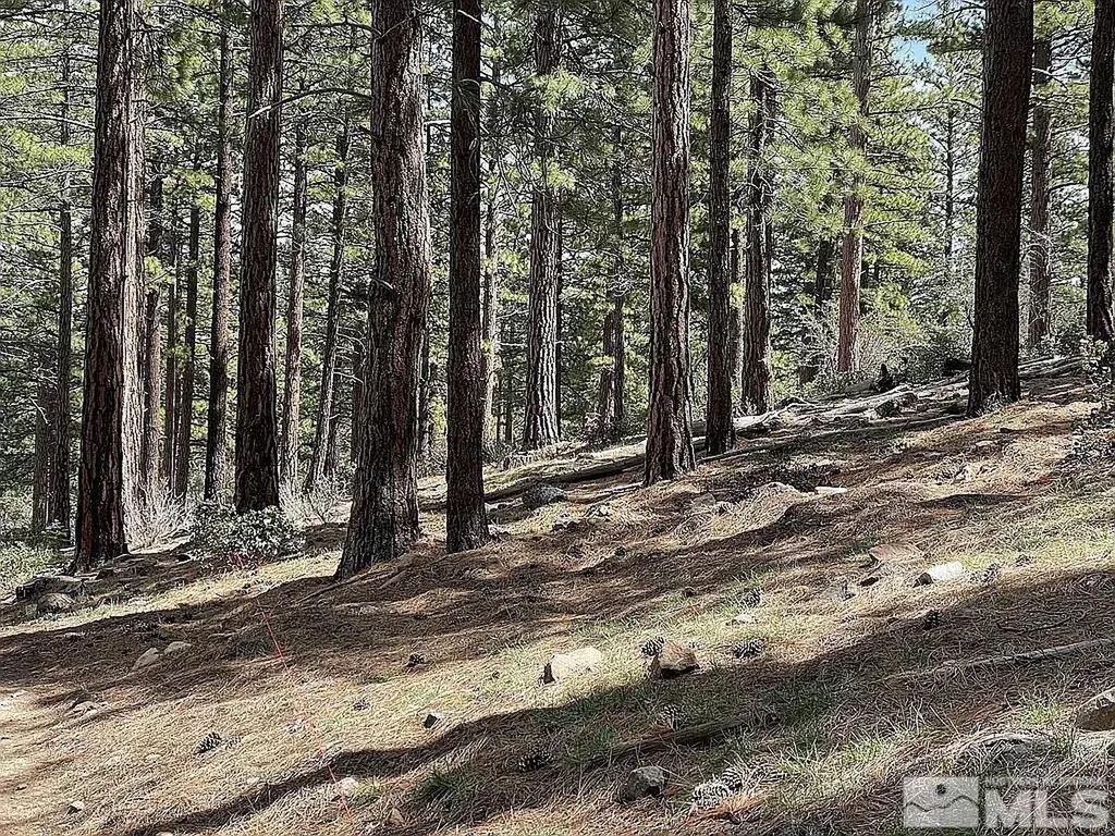 370 Abies Reno NV 89511