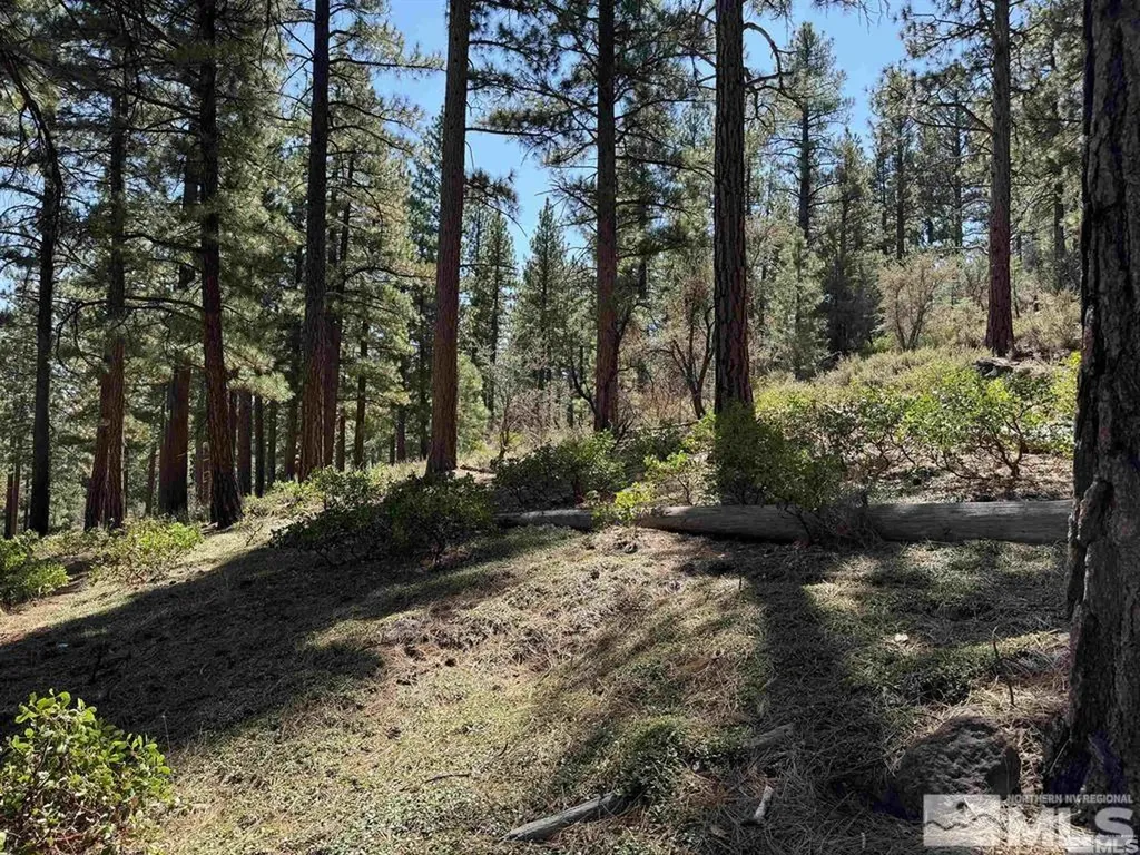 370 Abies Reno NV 89511