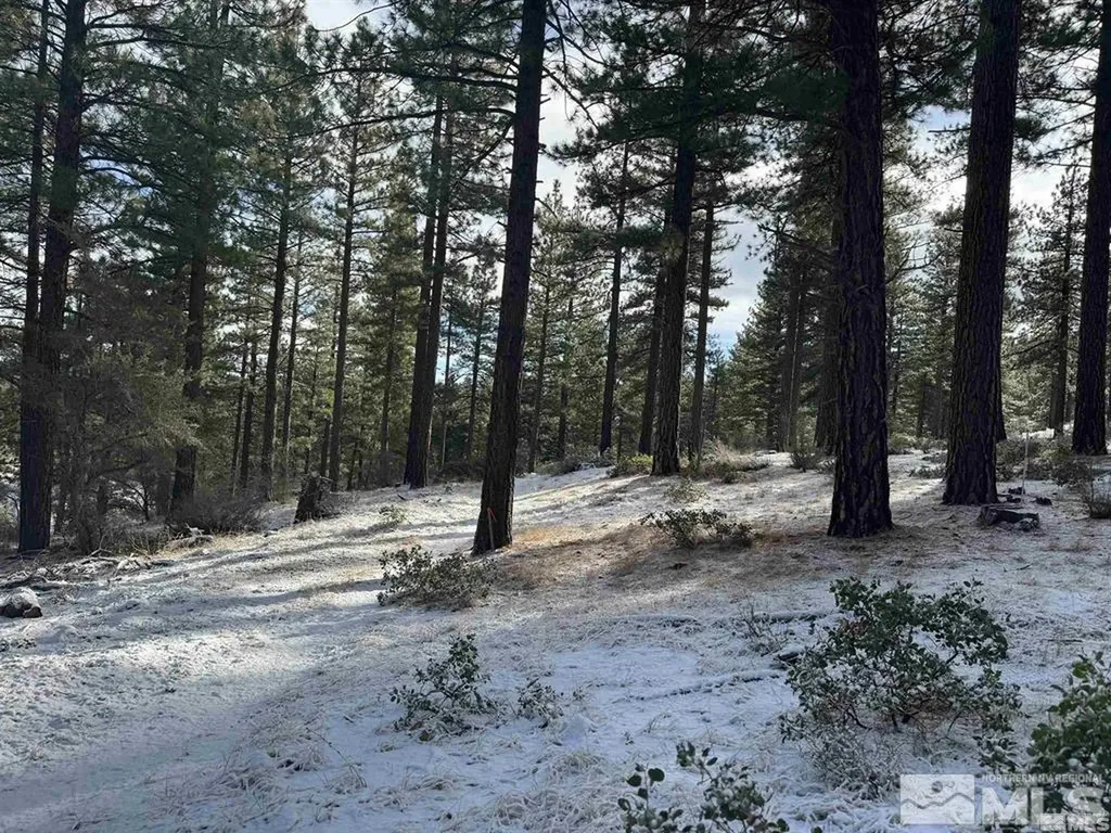 370 Abies Reno NV 89511