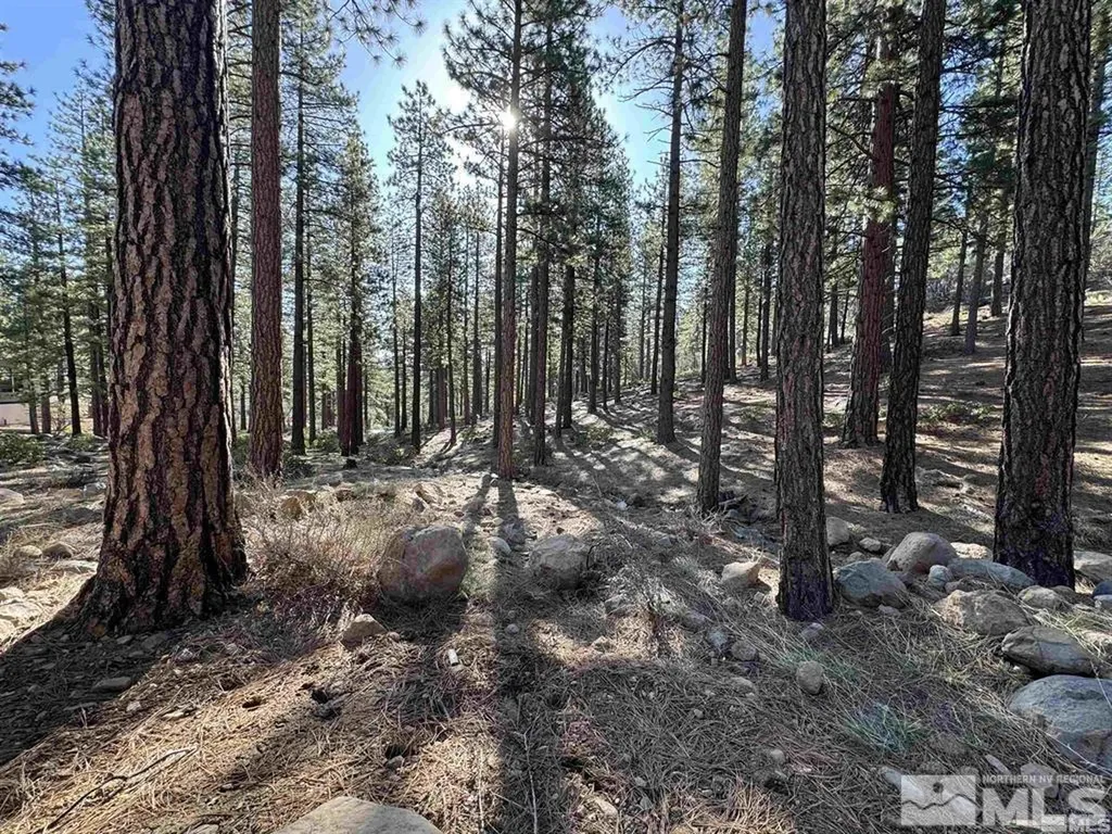 370 Abies Reno NV 89511