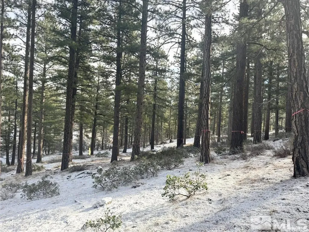 370 Abies Reno NV 89511
