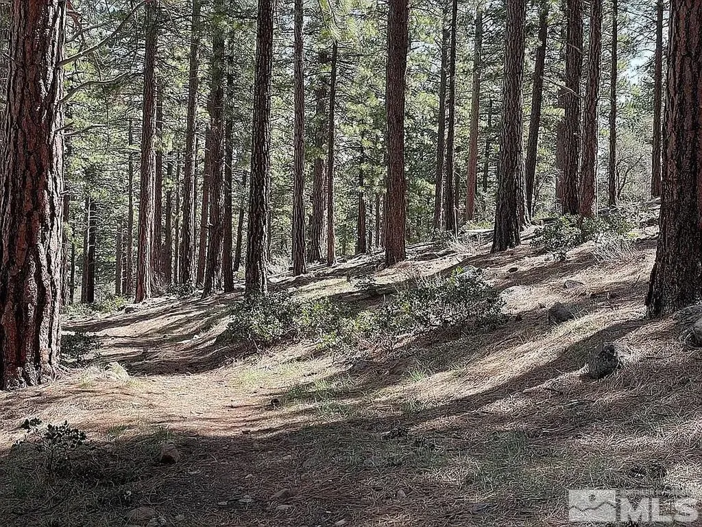 370 Abies Reno NV 89511