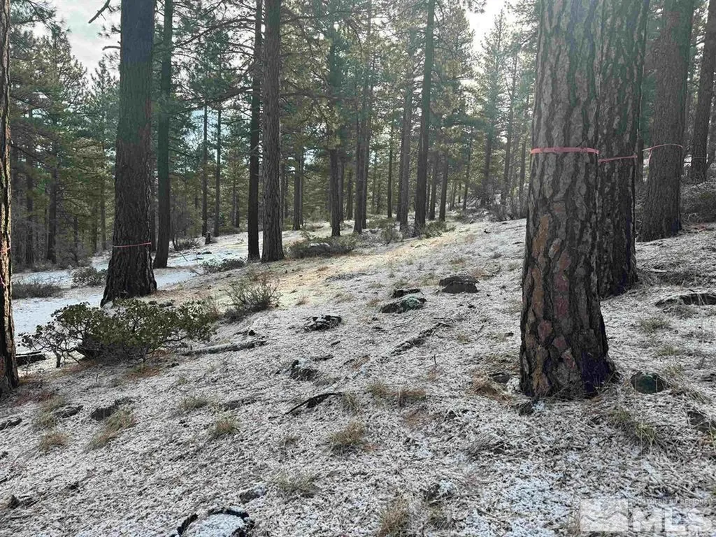 370 Abies Reno NV 89511