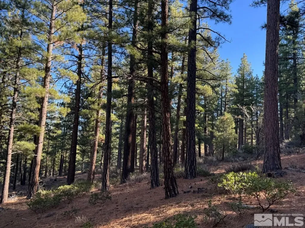 370 Abies Reno NV 89511