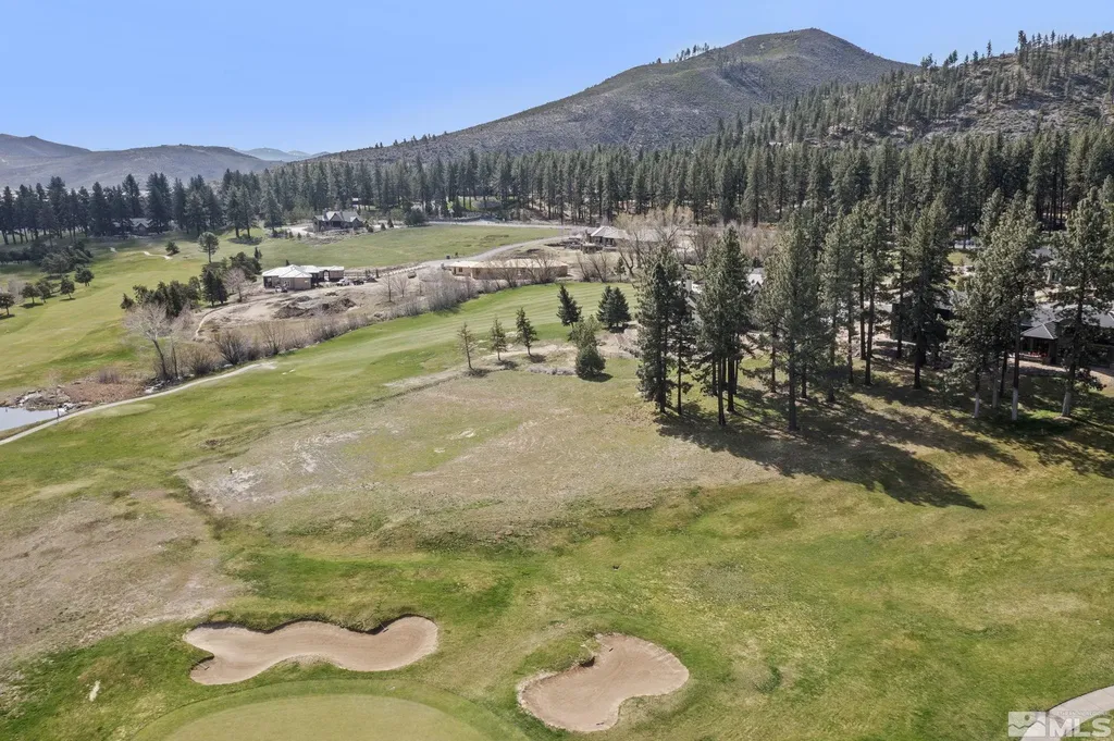 6 Pine Mesa Washoe Valley NV 89704
